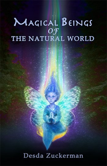 NBNW-Book-Cover-350
